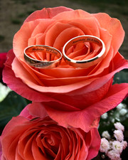 Krasava Red snubní prsteny z růžového zlata